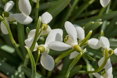 Similar image 21712508