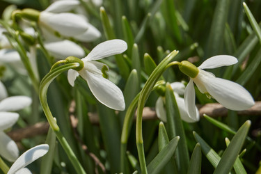 Similar image 21712509