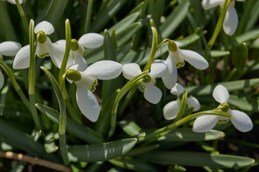 Similar image 21712510