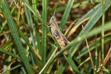 Similar image 21712516