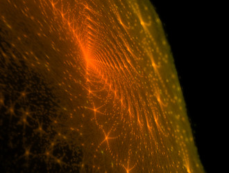 Similar image 21718403