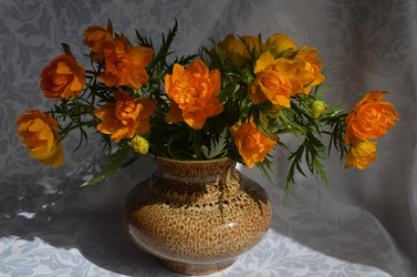 Similar image 21711650