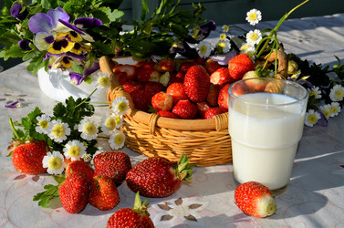 Similar image 21711651