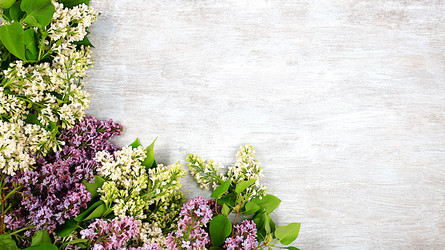 Similar image 21711805