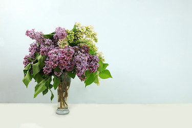 Similar image 21711807