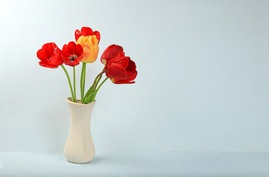 Similar image 21711811