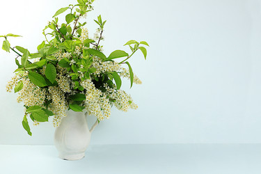 Similar image 21711812