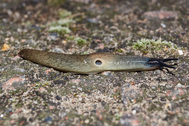 Similar image 21712520