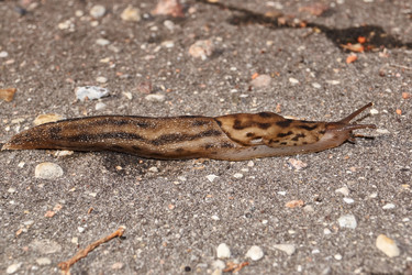 Similar image 21712522