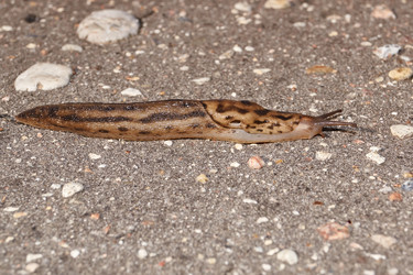 Similar image 21712525