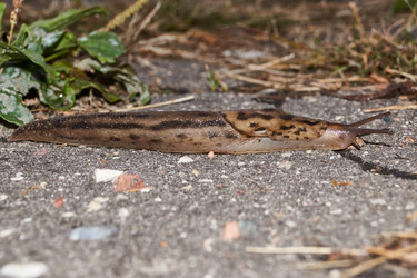 Similar image 21712526