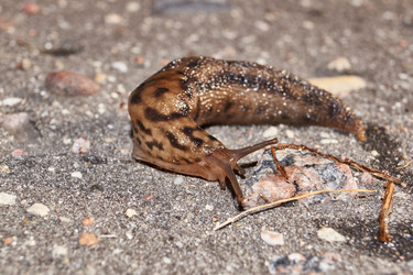 Similar image 21712532