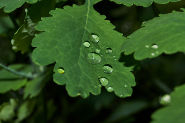 Similar image 21712535