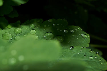 Similar image 21712536