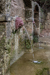 Similar image 21719421