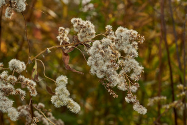 Similar image 21712541