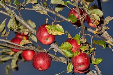 Similar image 21712542