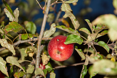 Similar image 21712544