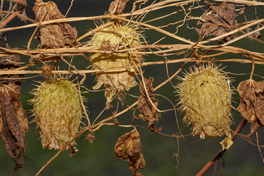 Similar image 21712547