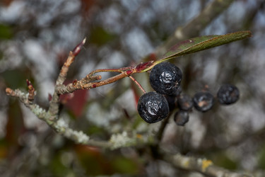 Similar image 21712549