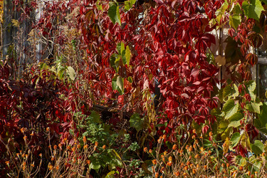 Similar image 21712565