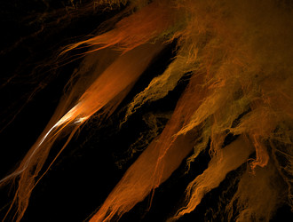 Similar image 21718862