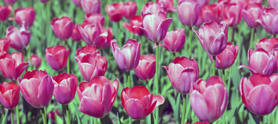 Similar image 21712733