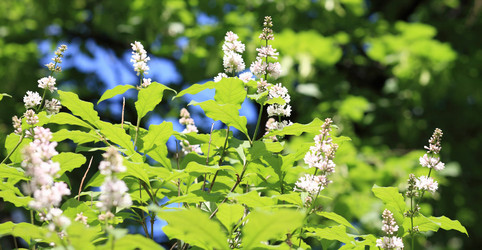 Similar image 21712735