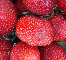 Similar image 21712741