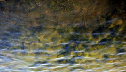 Similar image 21712897