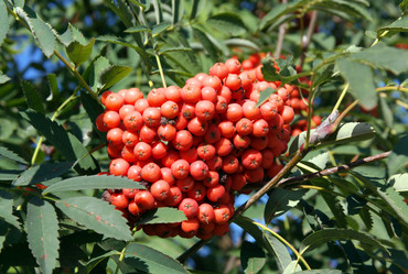 Similar image 21712903