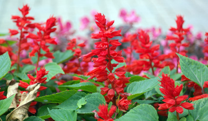 Similar image 21712912