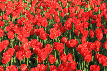 Similar image 21712781