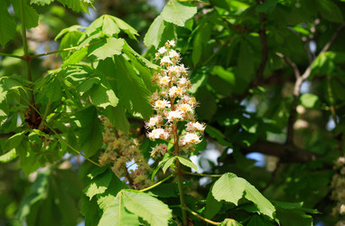 Similar image 21712792