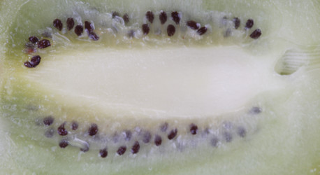 Similar image 21712936