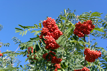 Similar image 21712940