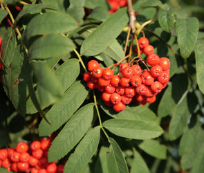 Similar image 21712949