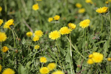 Similar image 21713612