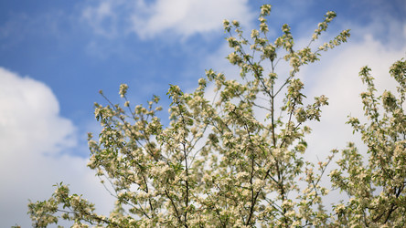 Similar image 21713614