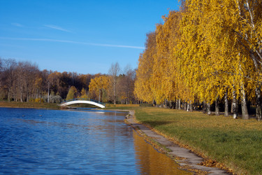 Similar image 21713619