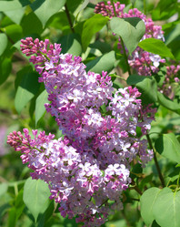 Similar image 21713623