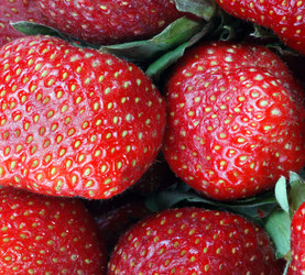 Similar image 21713636