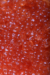 Similar image 21713637