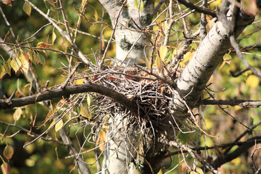 Similar image 21713650