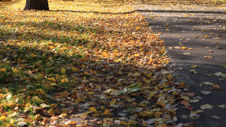 Similar image 21713665