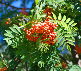 Similar image 21712802