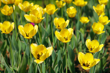 Similar image 21712806