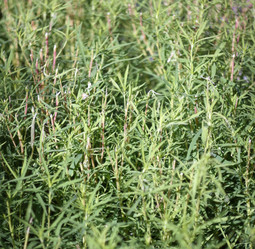 Similar image 21712966