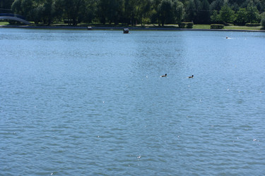 Similar image 21712967