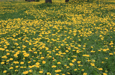 Similar image 21712971